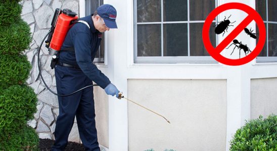 Arpaçay Böcek ve Haşere İlaçlama böcek ilaçlama ve haşere kontrolü — ilaclama-tr.com